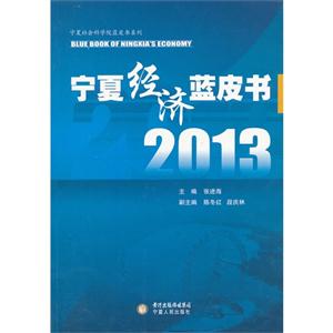 2013宁夏经济蓝皮书