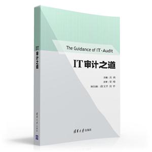IT审计之道