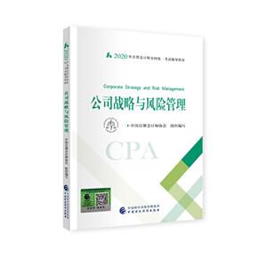 公司战略与风险管理